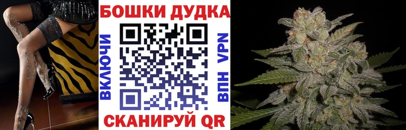 Конопля планчик  гидра ССЫЛКА  Кинешма 